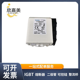 170M5961  170M6008 快速熔断器  保险丝 电子元器件 量大价优