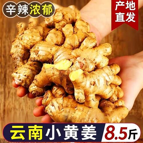 昂稷云南现挖小黄姜老姜