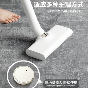 轻奢高级感极简沙发茶几地垫北欧卧室免打理家用 地毯客厅2024新款