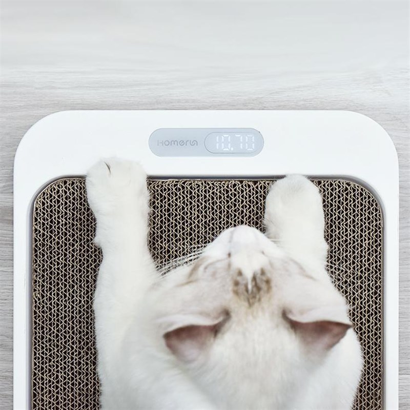 霍曼homerun 猫抓板宠物体重秤爪垫带称重功能猫咪磨爪称重小型