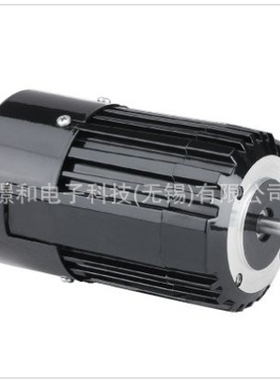 BODINE-ELECTRIC电机变频电机34R6BFPP少量库存