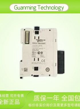 TM2AVO2HT 模块 PLC 法国 SCHNE1DER 模拟输出模块 可编程控制器