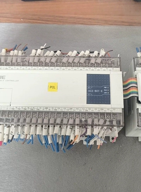 议价信捷PLC XC3-60T-E主机XC-E16YR扩展模块