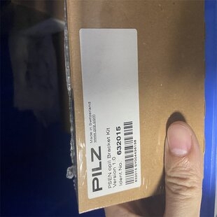 带安装技术的现场模块AC2459IFM