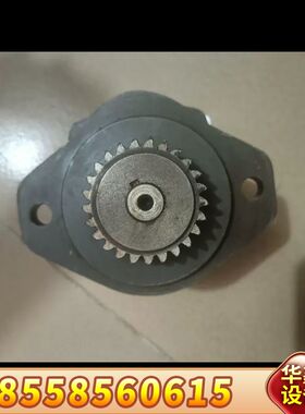 油泵齿轮泵P5A193