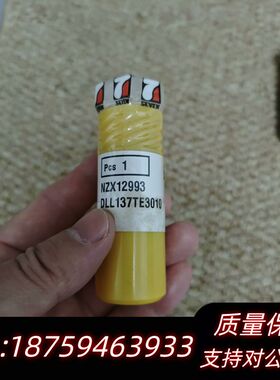 大发DC17油嘴，DLL137TE3010，意大利7️⃣牌，询价