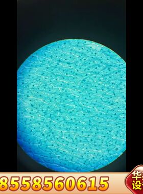 奥林巴斯显微镜160物镜splan20x镜头一枚，超宽视场2