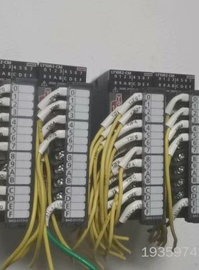 L系列PLC模块 LY10R2-CM ，，详谈