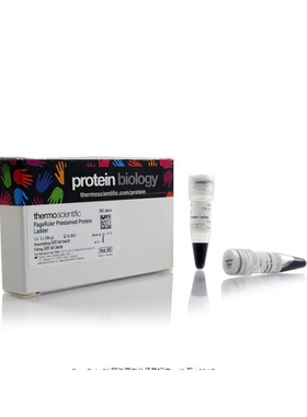 赛默飞 26616 Thermo PageRuler 预染蛋白分子量标准2x250μL