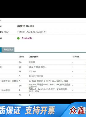 E+H 温度计 TM101-AACCA4BA2H1A1(TM