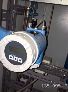 Endress+Hauser恩德斯豪斯流量计，型号PROMA详谈