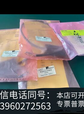VS Sensorik编码器RGK2G-A- M3Z(P05需询价