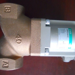 日本AD11-10A-2E-COIL-AC200VCKD