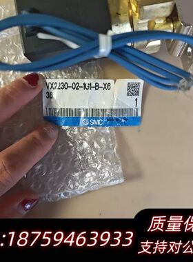 SMC VX2230-02-1G1-B-X636询价