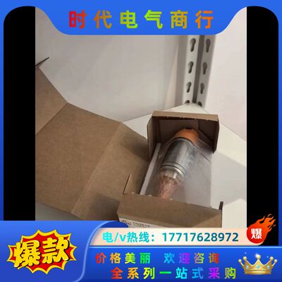 易福门温度传感器TN2613，全新现货，，便宜出，需议价