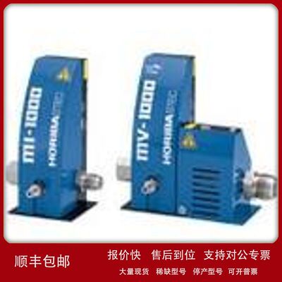 Horiba液体材料气化系统混合注入MI质量流量计MV质量流量控制器议
