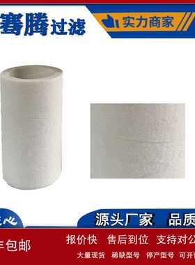 厂家供应水处理PE聚乙烯烧结管滤芯玻纤管 微孔过滤烧结管滤芯议