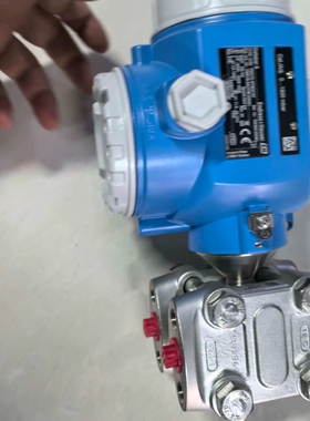 议价E+H差压变送器，型号PMD75-4FNE0/187，蓝色外维修