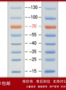 预染彩色Prestained Protein Marker10-180K议价
