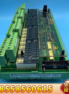SAM Electronics 监测报警模块 REM401