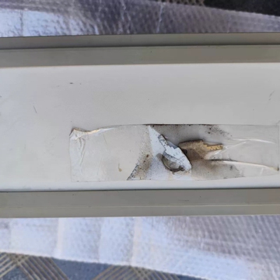 Laetus ARGUS 6012控制器，带，。