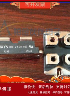 DSEI2X30-06C  DSEI2X31-12B DSEP2X91-06A 二极管功率模块 原装