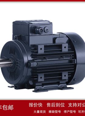 原装进口供应土耳其ELK标准电机2EL063M2A 减速机 马达议价