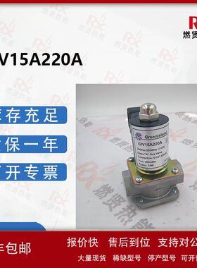 国产Greenlsland润瓯电磁阀GIV15A220A燃气电磁阀议价