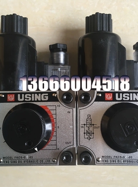 特价供应台湾峰欣流量控制阀FKCS-G4-03