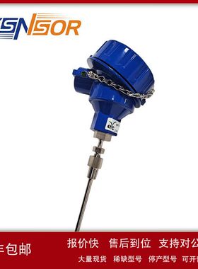 台湾EYC防爆温度传感器 K型 单组 0-600度 6.3MM 1000MM FPT1/4议