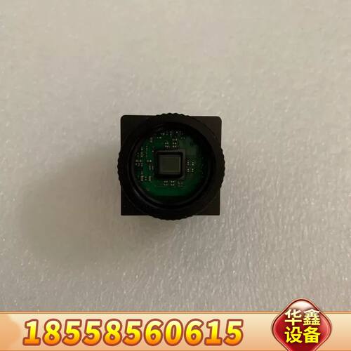 AVT GUPPY F-503C  彩色工业相机 500万像