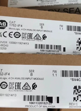 1762-IF4 Allen-BradleyPL