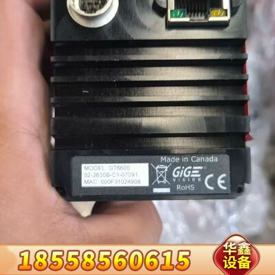 Prosilica GT6600国Allied Visi
