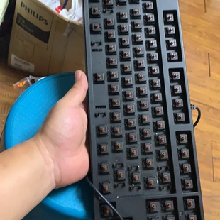 议价filco 圣手二代87键