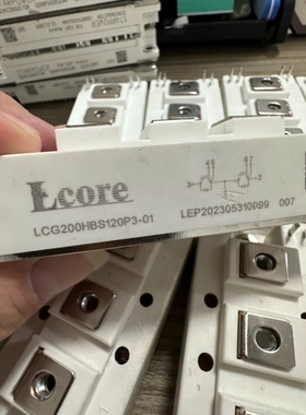 议价原装正品 LCG200HBS120P3-01 GD200HF