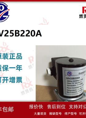 Greenlsland润瓯电磁阀 GIV25B220A BIV20B220A燃气电磁阀议价
