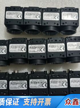 Piont grey 灰点 BFLY-PGE-12A2M-C