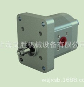 土耳其Blue Ascend液压泵APH10.009.A/CCE01SN