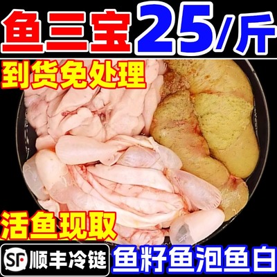 新鲜鱼三宝鱼籽鱼杂鱼泡鱼白活鱼现杀现取鱼肚鱼鳔冷冻鱼蛋鲢鱼子