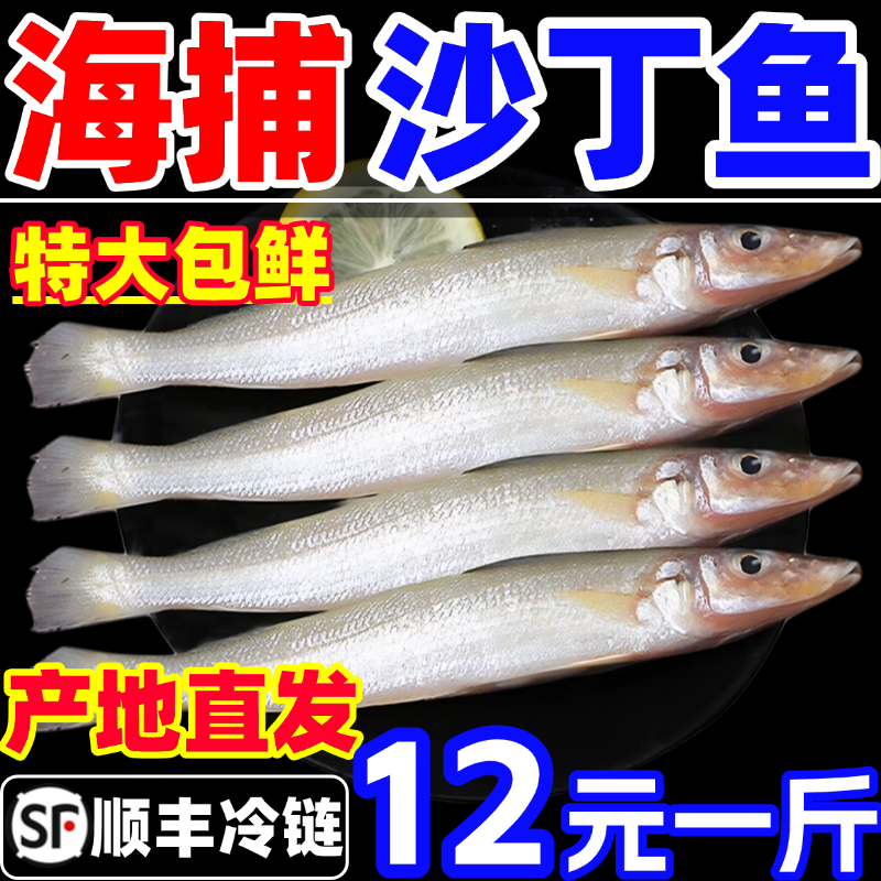 沙丁鱼新鲜尖梭鱼鲜活冷冻大沙尖鱼商用深海鱼宝宝辅食海鲜水产,水产肉类/新鲜蔬果/熟食,淡水鱼类,淘宝优惠券,粉丝福利购,淘宝优惠卷