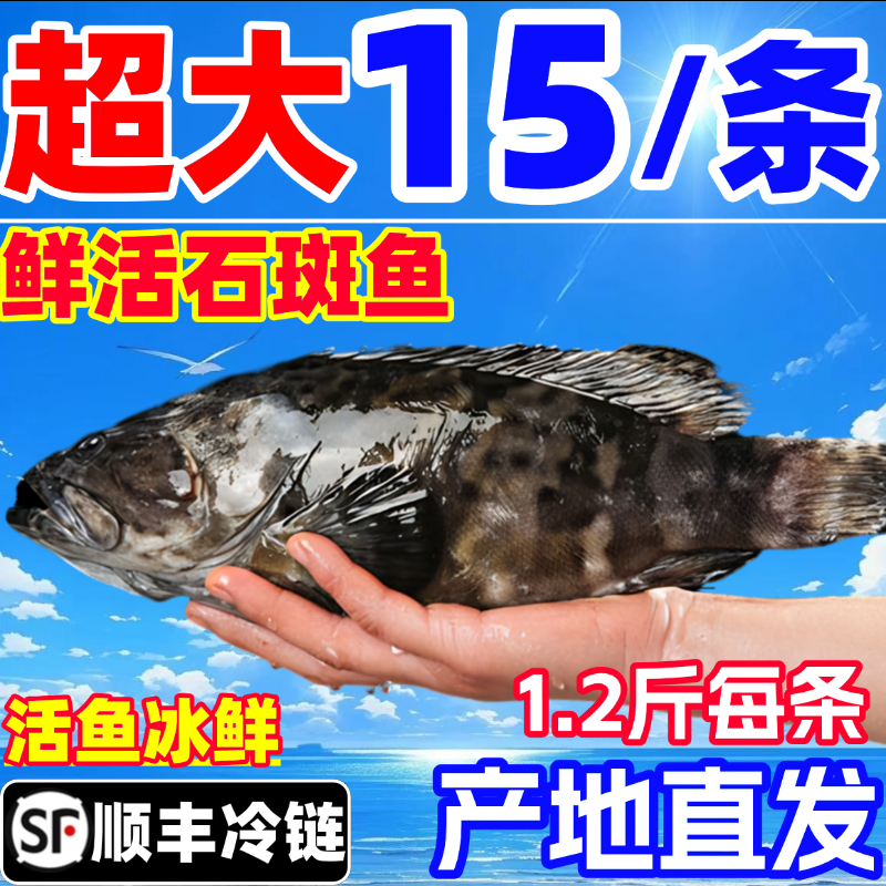 石斑鱼新鲜鲜活冷冻深海鱼龙胆老虎斑珍珠斑龙趸石头斑海鲜水产,水产肉类/新鲜蔬果/熟食,斑鱼,淘宝优惠券,粉丝福利购,淘宝优惠卷