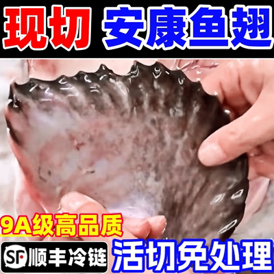 新鲜安康鱼翅膀冷冻安康鱼鳍鲜活深海鱼翅鱼杂整箱海鲜水产批发