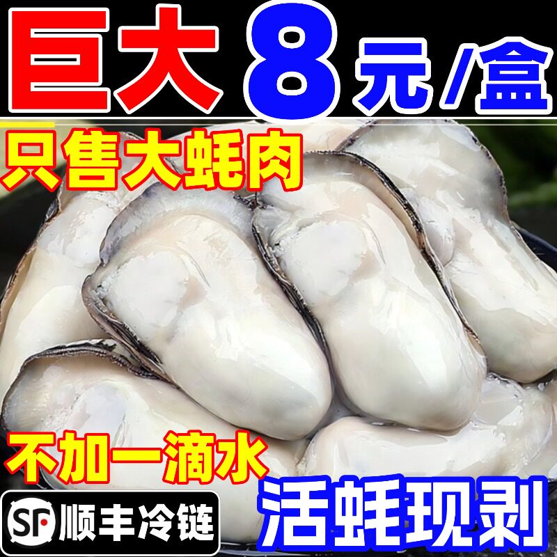 生蚝肉鲜活现剥新鲜牡蛎肉去壳蚝仔肉纯肉蛎蝗肉海鲜水产海蛎子肉
