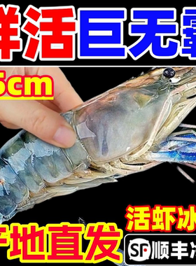 罗氏虾沼虾新鲜大头虾鲜活速冻巨型基围虾超大金钱虾类河虾淡水虾
