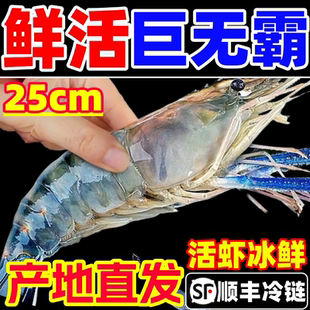 罗氏虾沼虾新鲜大头虾鲜活速冻巨型基围虾超大金钱虾类河虾淡水虾
