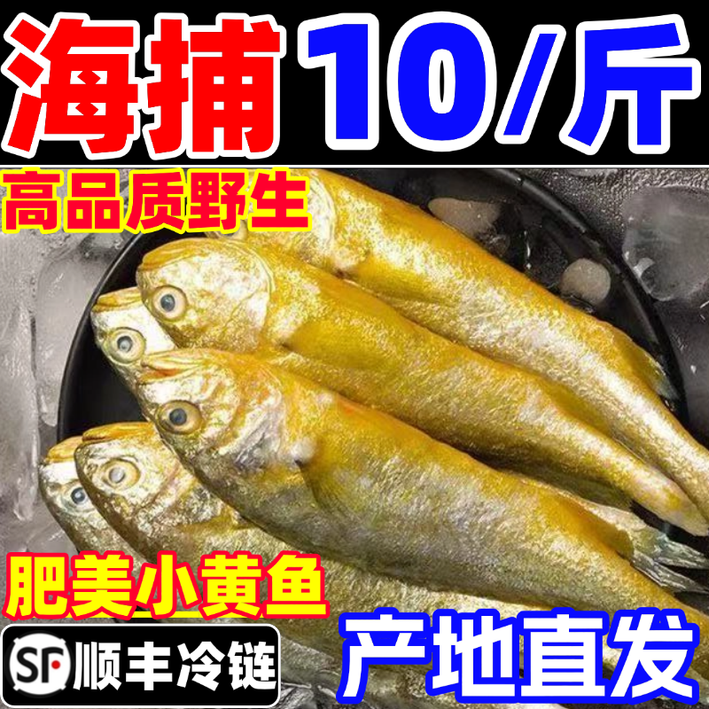 小黄鱼野生海捕小黄花鱼新鲜鲜活冷冻烧烤水产深海小黄鱼商用海鲜,水产肉类/新鲜蔬果/熟食,黄鱼,淘宝优惠券,粉丝福利购,淘宝优惠卷