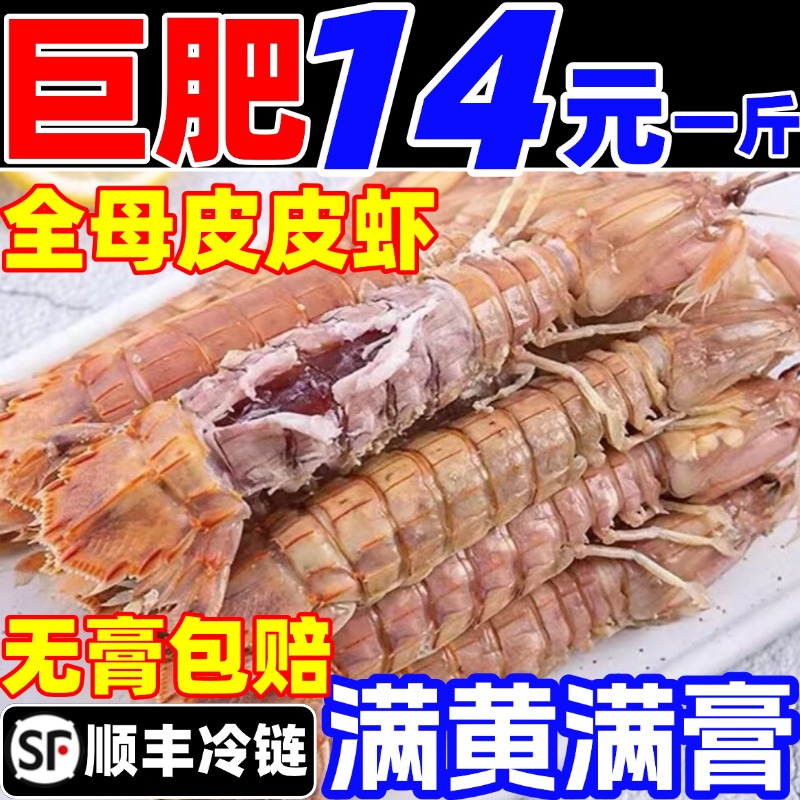 全母皮皮虾特大鲜活冷冻带黄带膏虾非即食濑尿虾超大虾姑海鲜水产