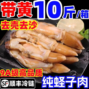 蛏王肉大个去壳速冻蛏子肉冷冻竹蛏肉海鲜水产鲜活带黄圣王肉贝类