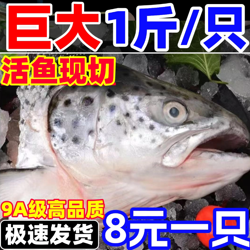 新鲜三文鱼头新鲜冷冻整条现切新疆虹鳟鱼三文鱼非进口海鲜挪威鱼图片