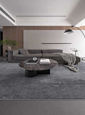 纯色地毯客厅高级感轻奢简约深灰色高端加厚隔音卧室床边家用